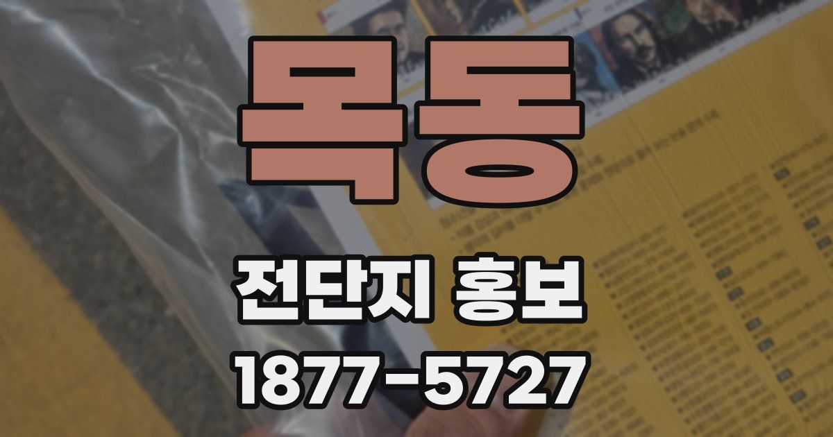 목동 전단지 홍보