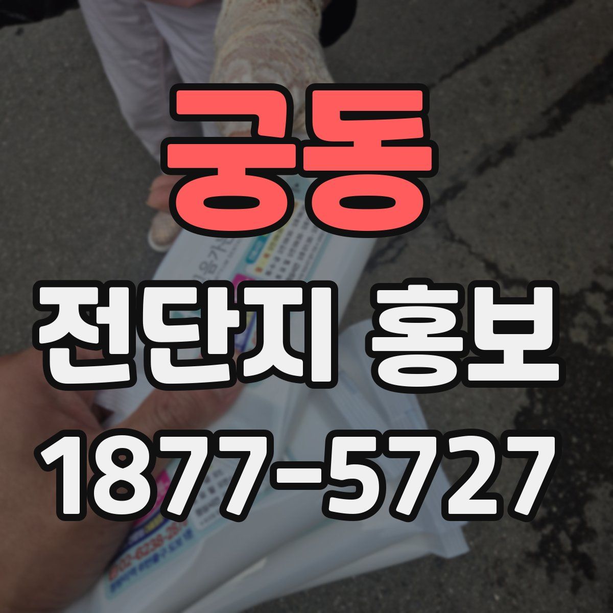 궁동 전단지 홍보