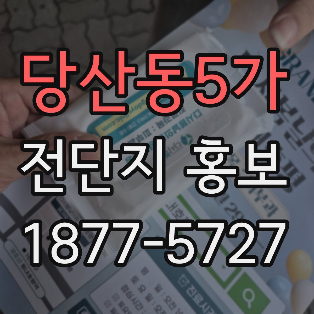 당산동5가 전단지 홍보