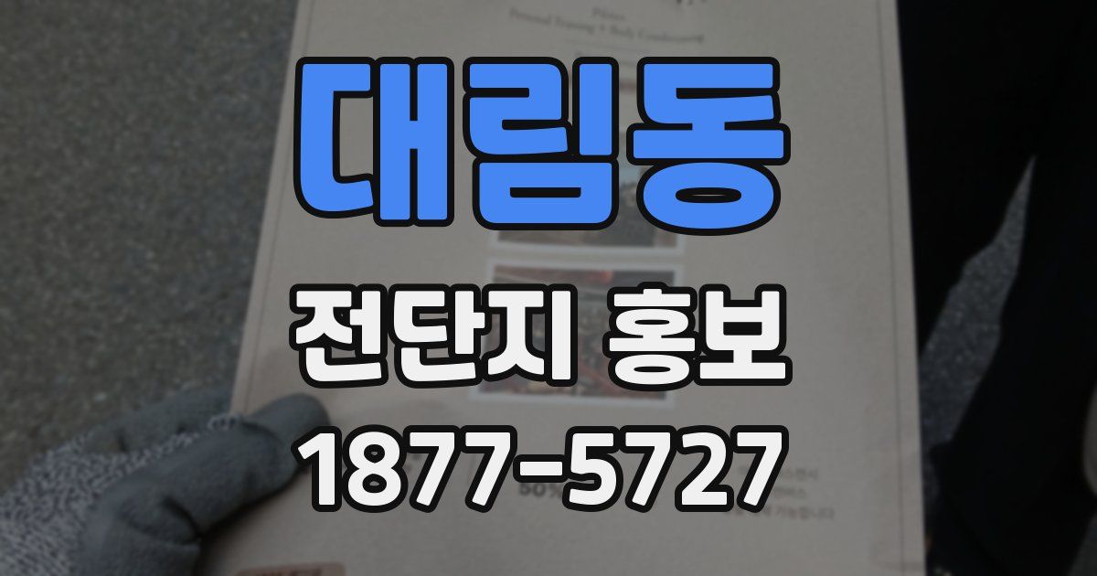 대림동 전단지 홍보