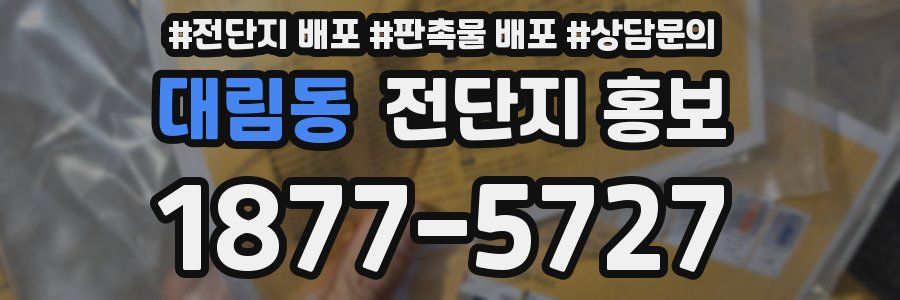 대림동 전단지 홍보