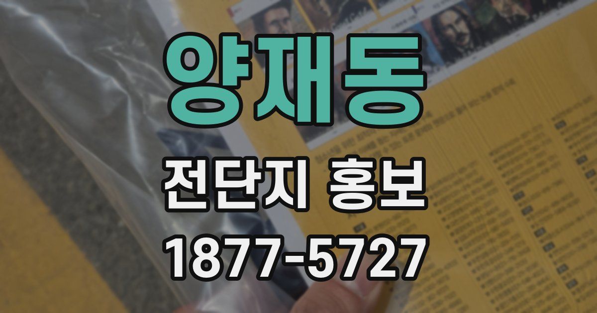 양재동 전단지 홍보