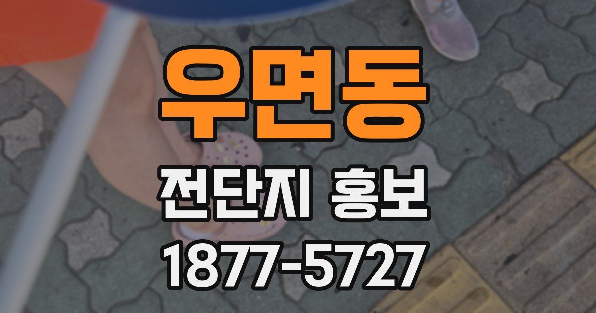 우면동 전단지 홍보