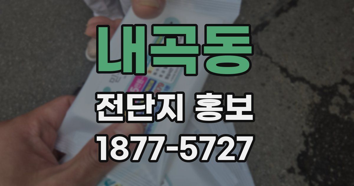 내곡동 전단지 홍보