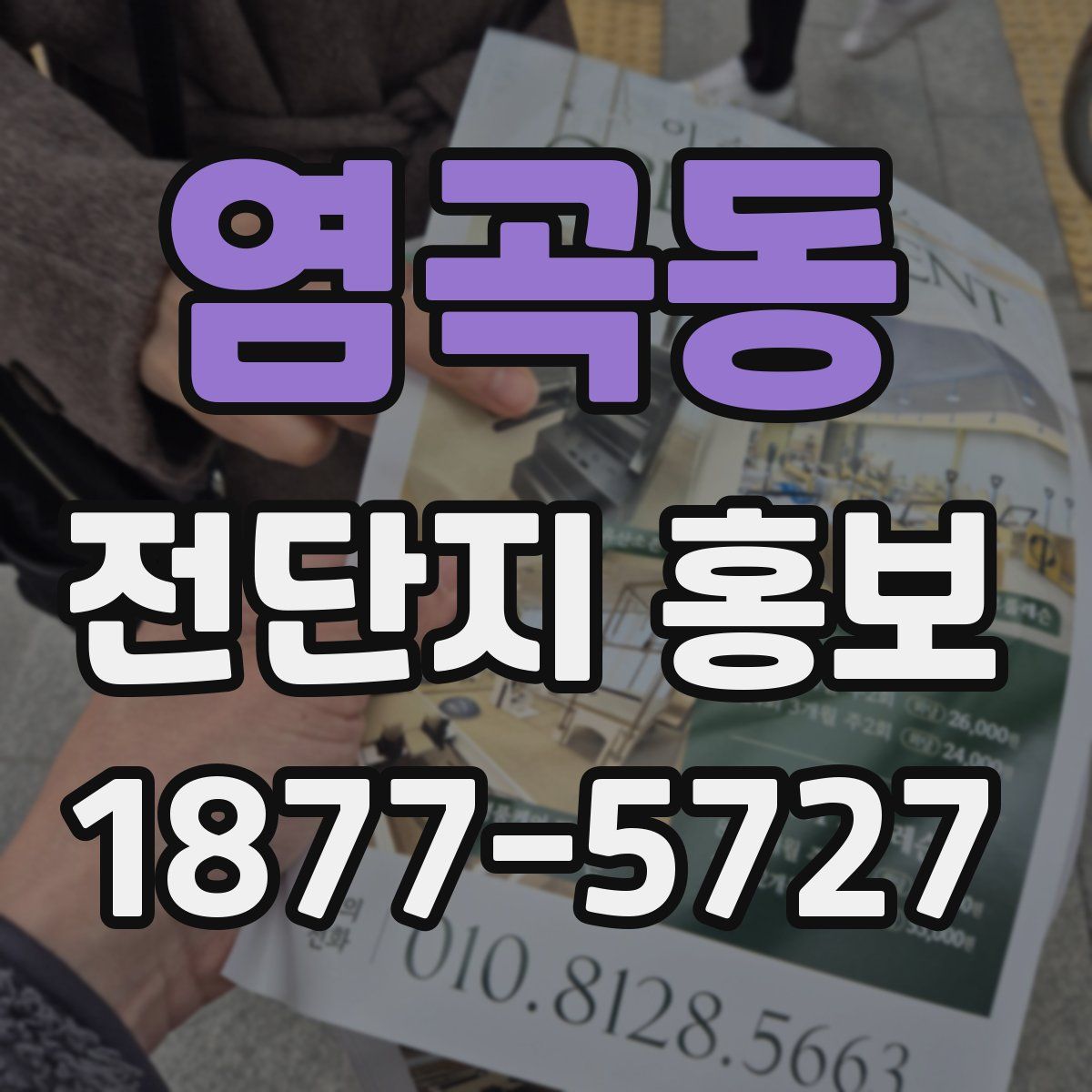 염곡동 전단지 홍보