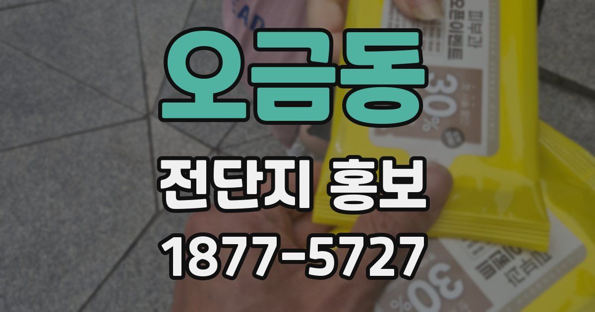 오금동 전단지 홍보