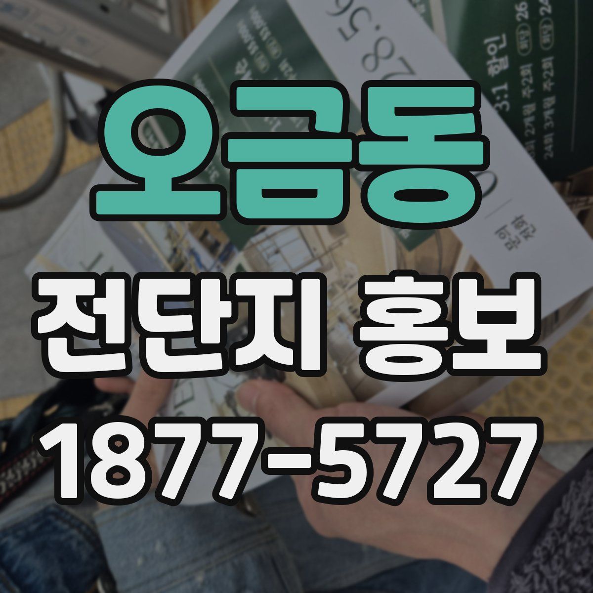 오금동 전단지 홍보