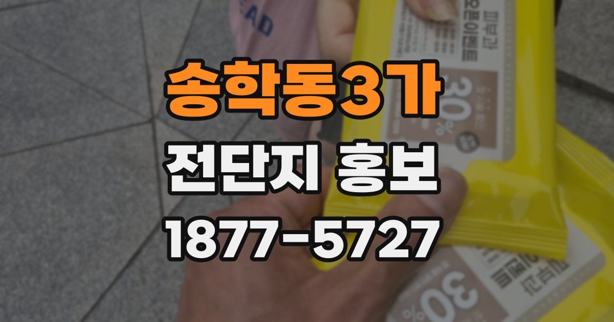 송학동3가 전단지 홍보