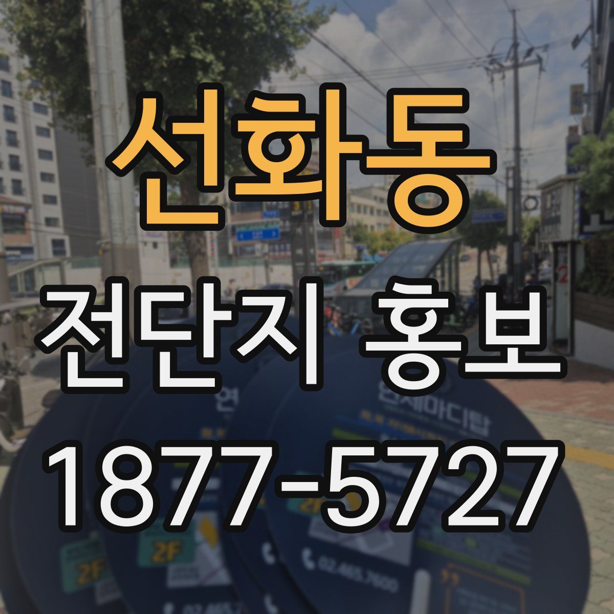 선화동 전단지 홍보