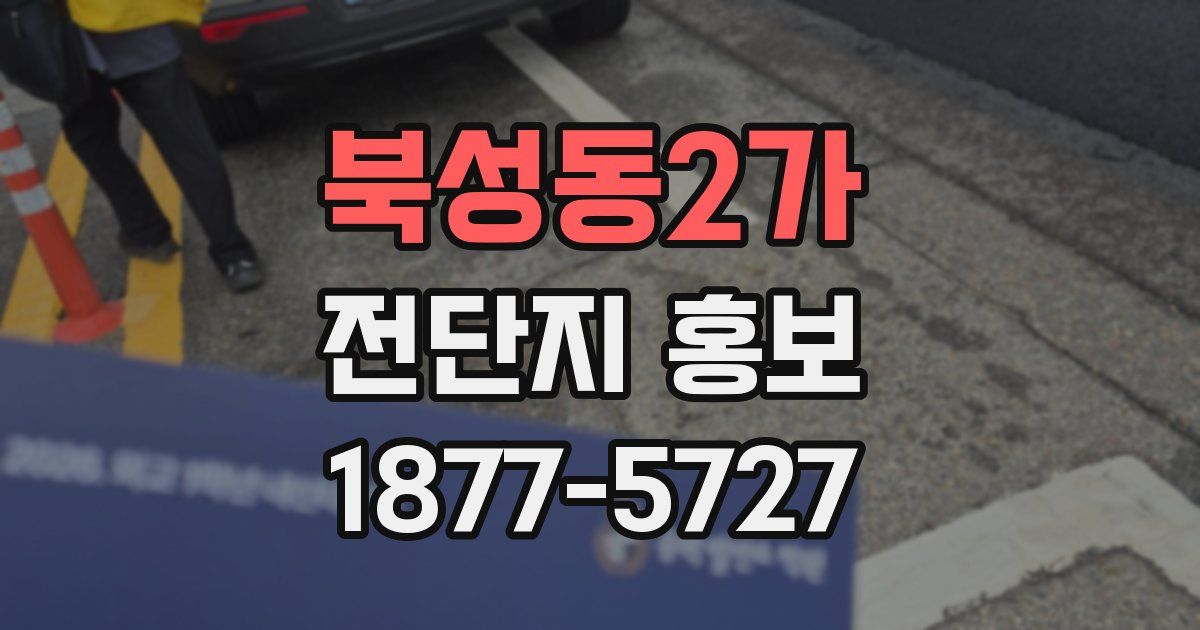 북성동2가 전단지 홍보