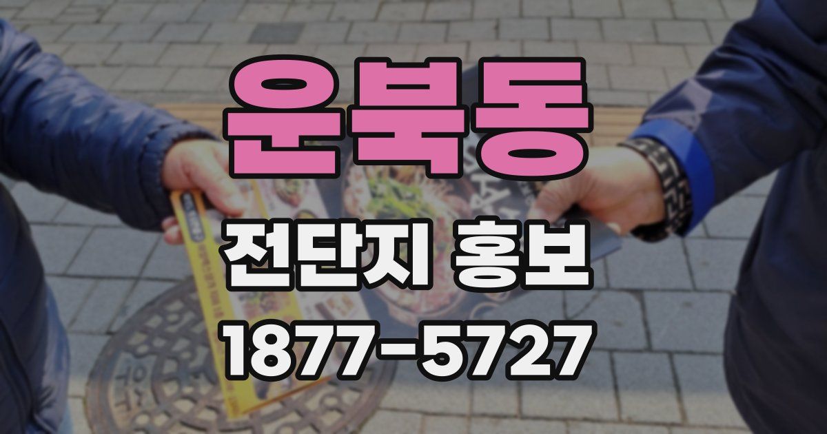 운북동 전단지 홍보