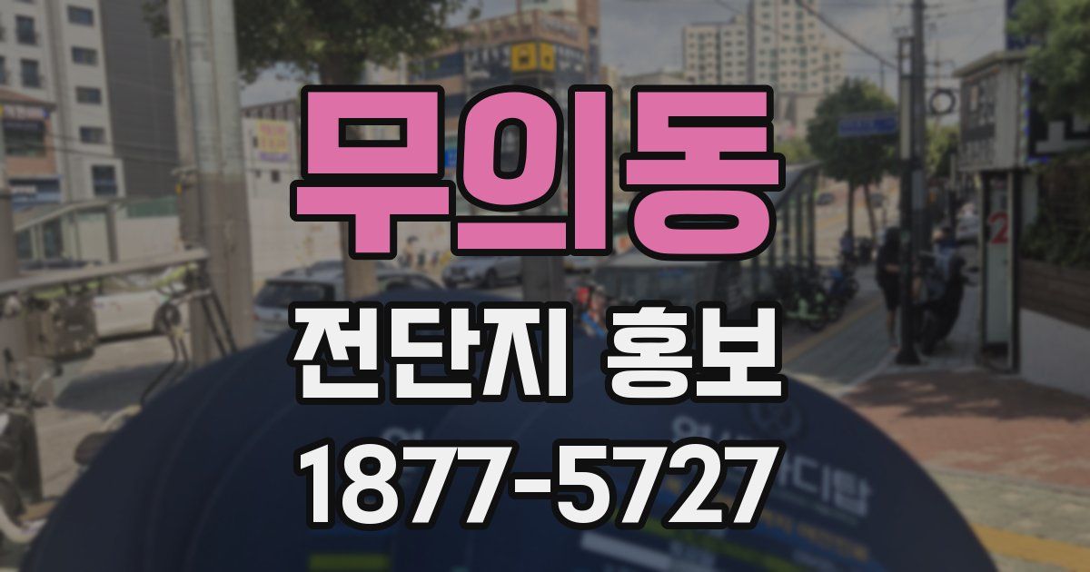 무의동 전단지 홍보