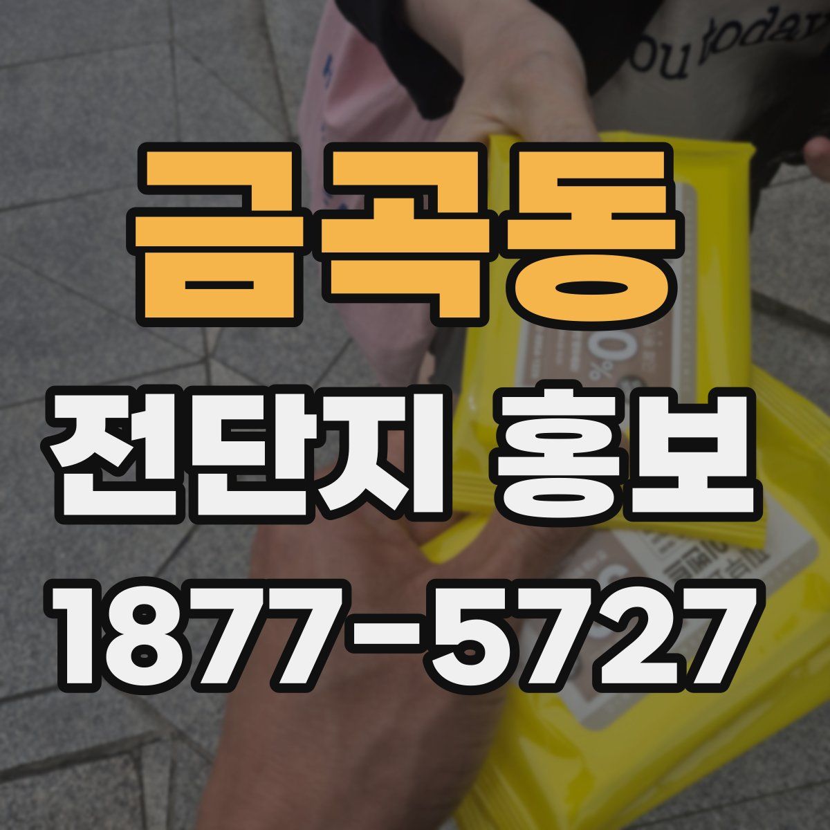 금곡동 전단지 홍보