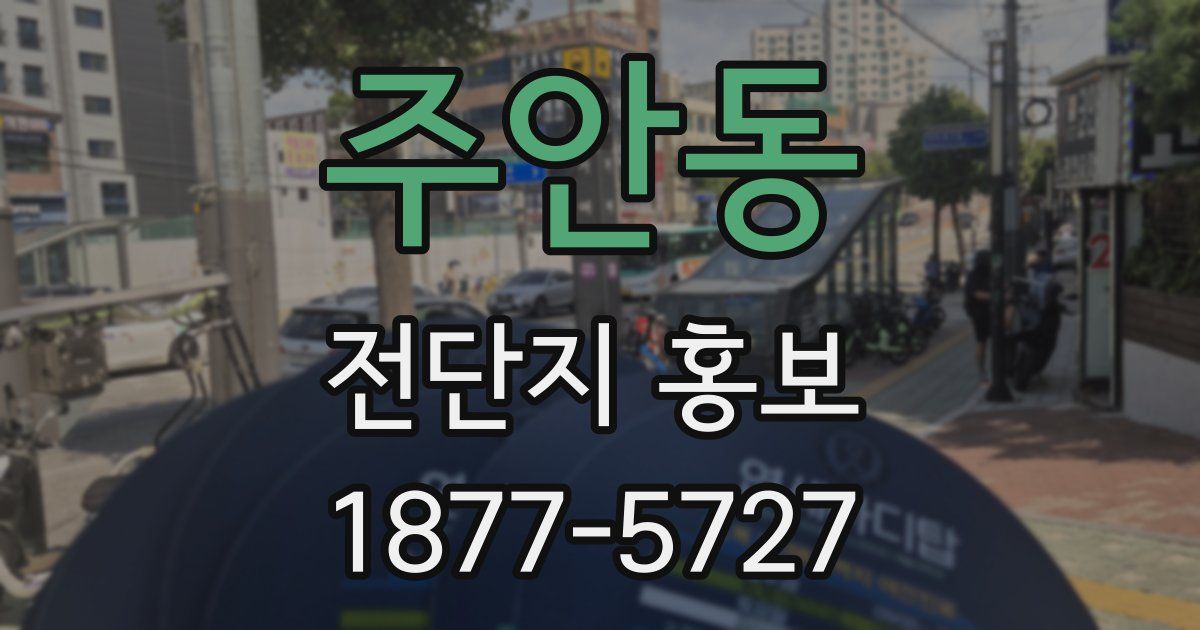 주안동 전단지 홍보