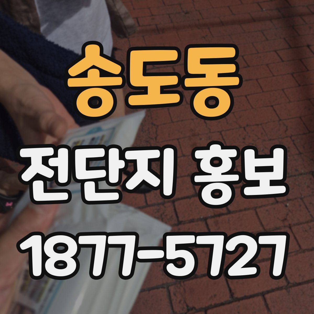 송도동 전단지 홍보