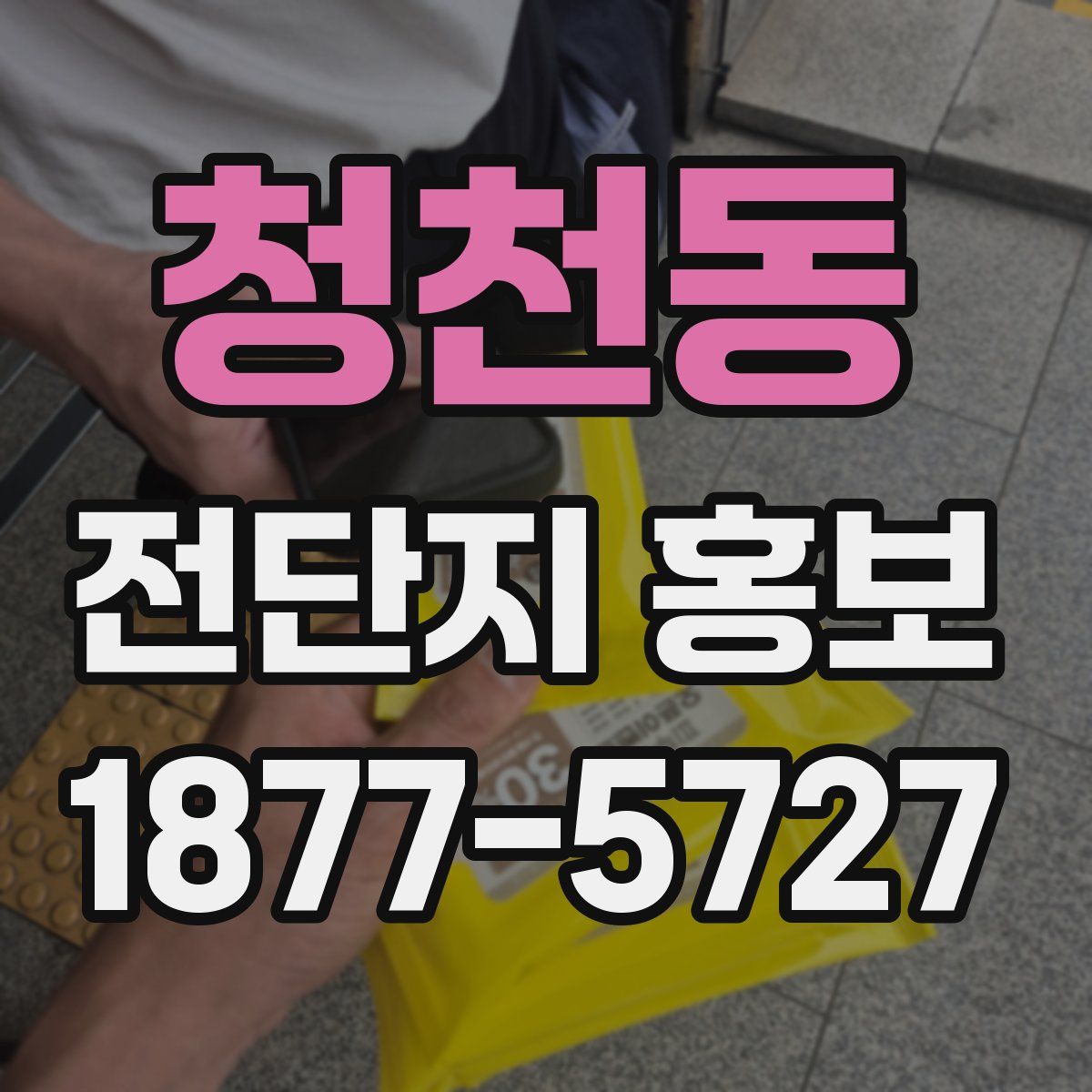 청천동 전단지 홍보