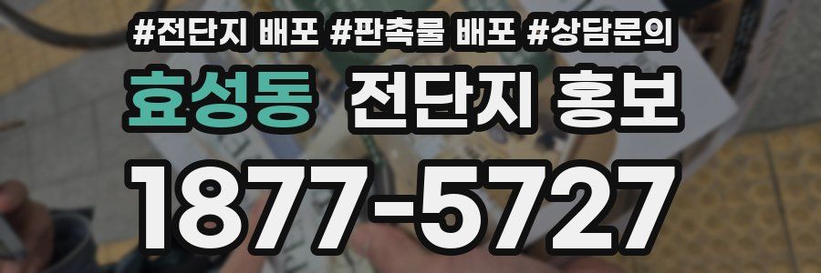 효성동 전단지 홍보