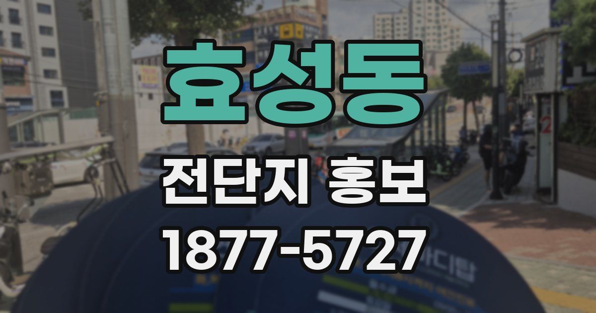 효성동 전단지 홍보
