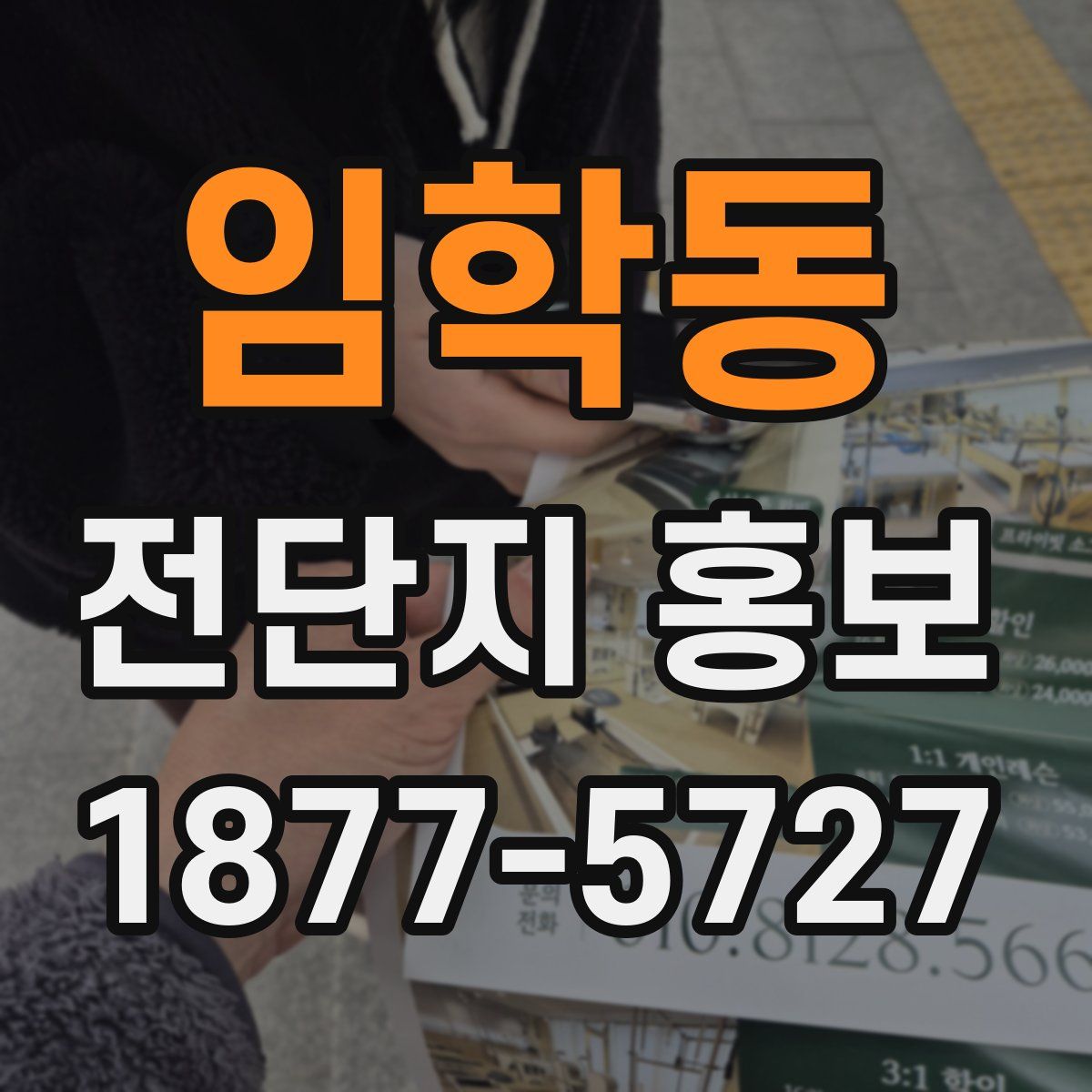 임학동 전단지 홍보