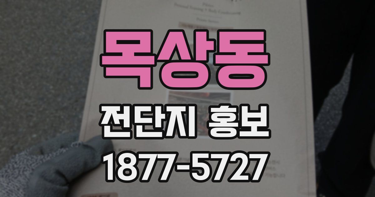 목상동 전단지 홍보
