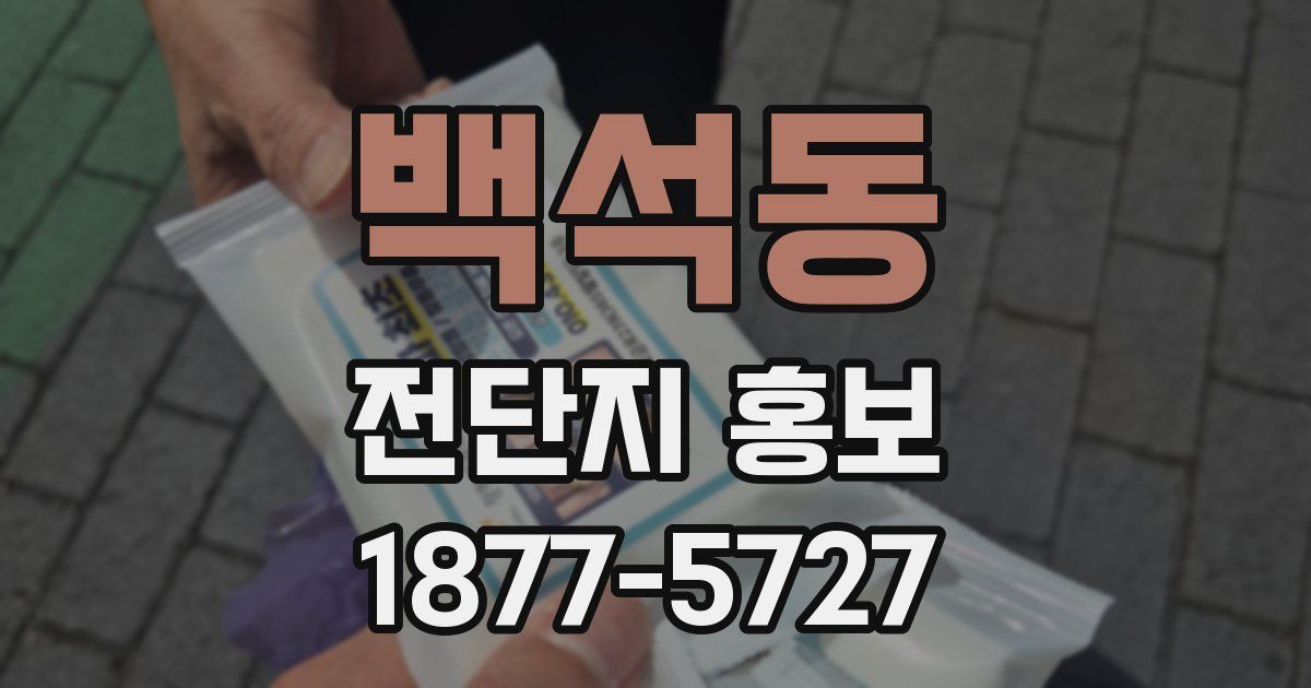 백석동 전단지 홍보