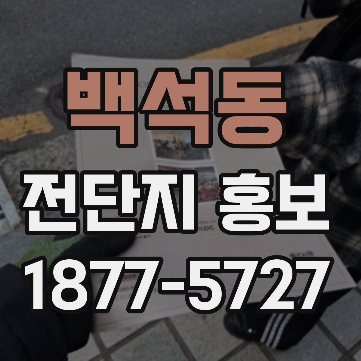 백석동 전단지 홍보
