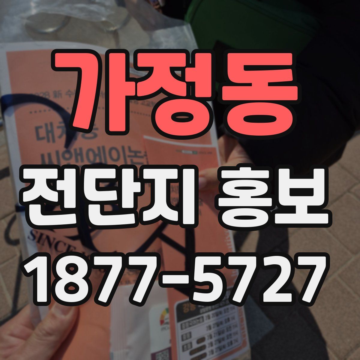 가정동 전단지 홍보