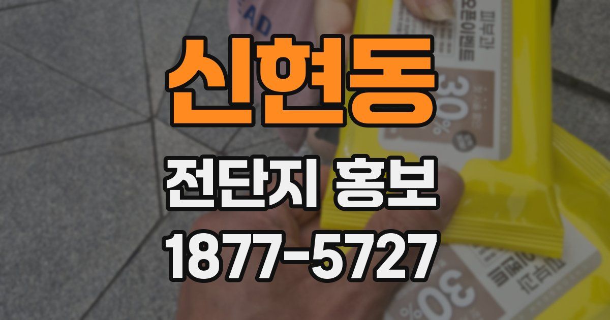 신현동 전단지 홍보