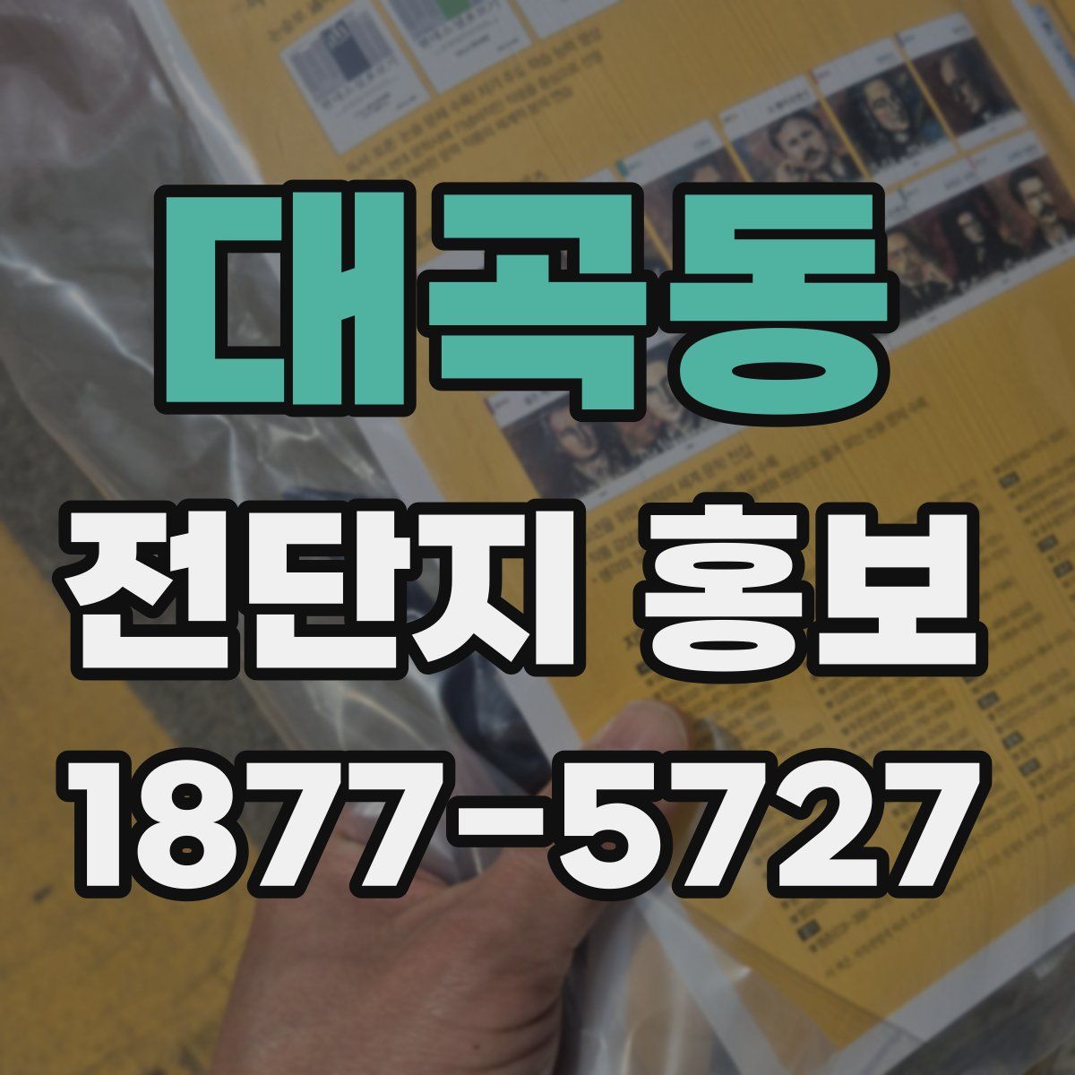대곡동 전단지 홍보