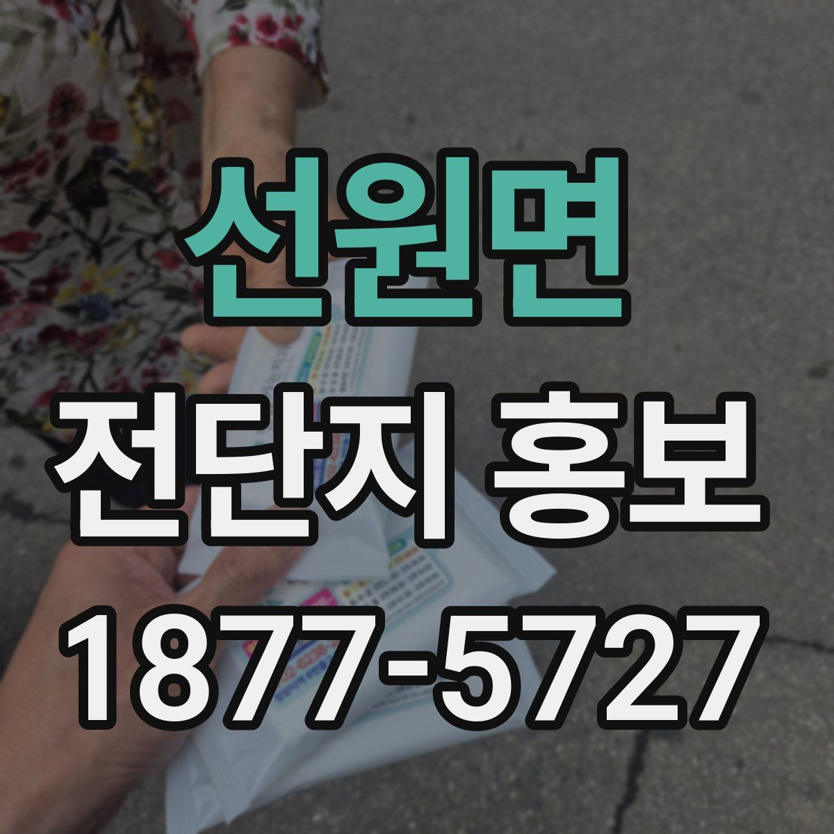 선원면 전단지 홍보