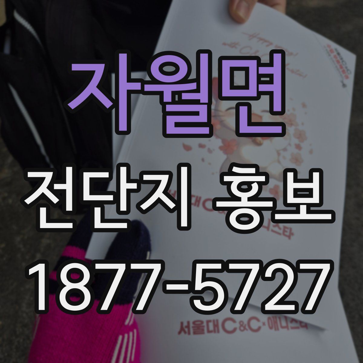 자월면 전단지 홍보