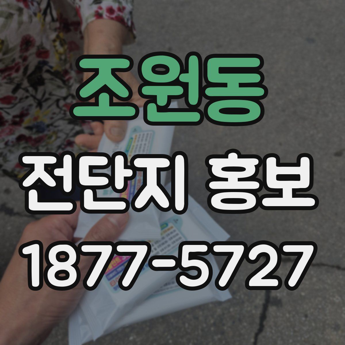조원동 전단지 홍보
