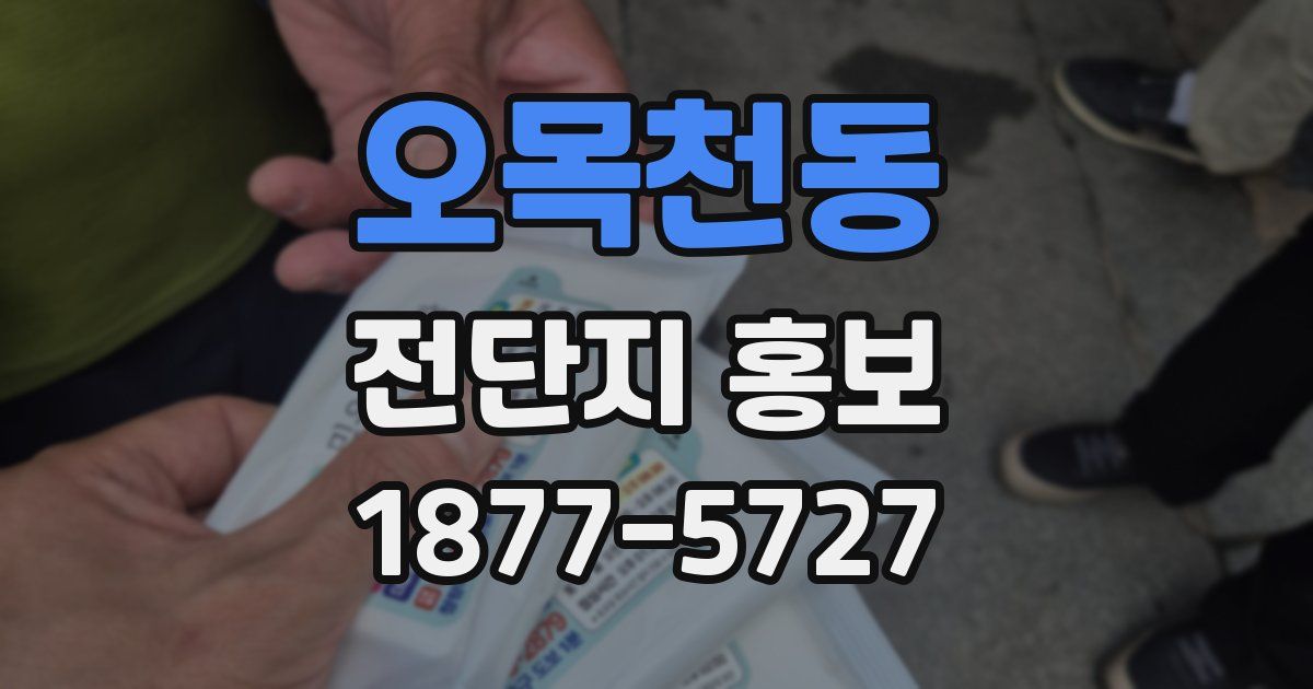 오목천동 전단지 홍보
