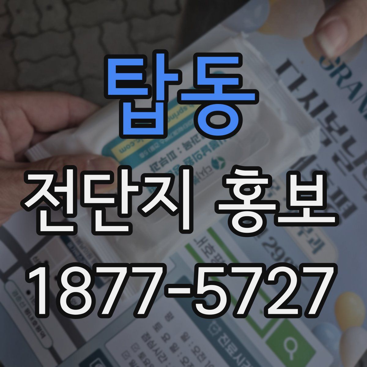탑동 전단지 홍보