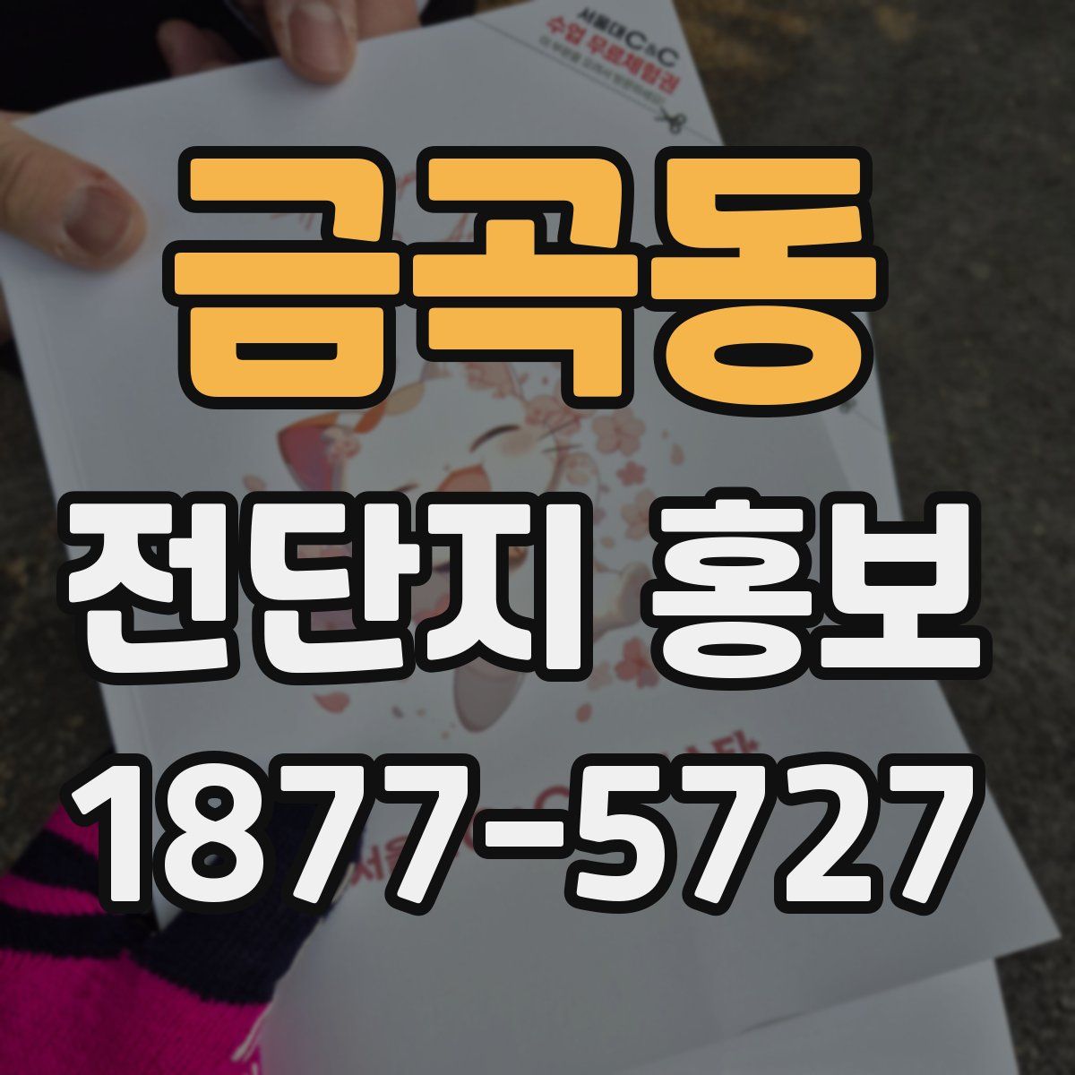 금곡동 전단지 홍보