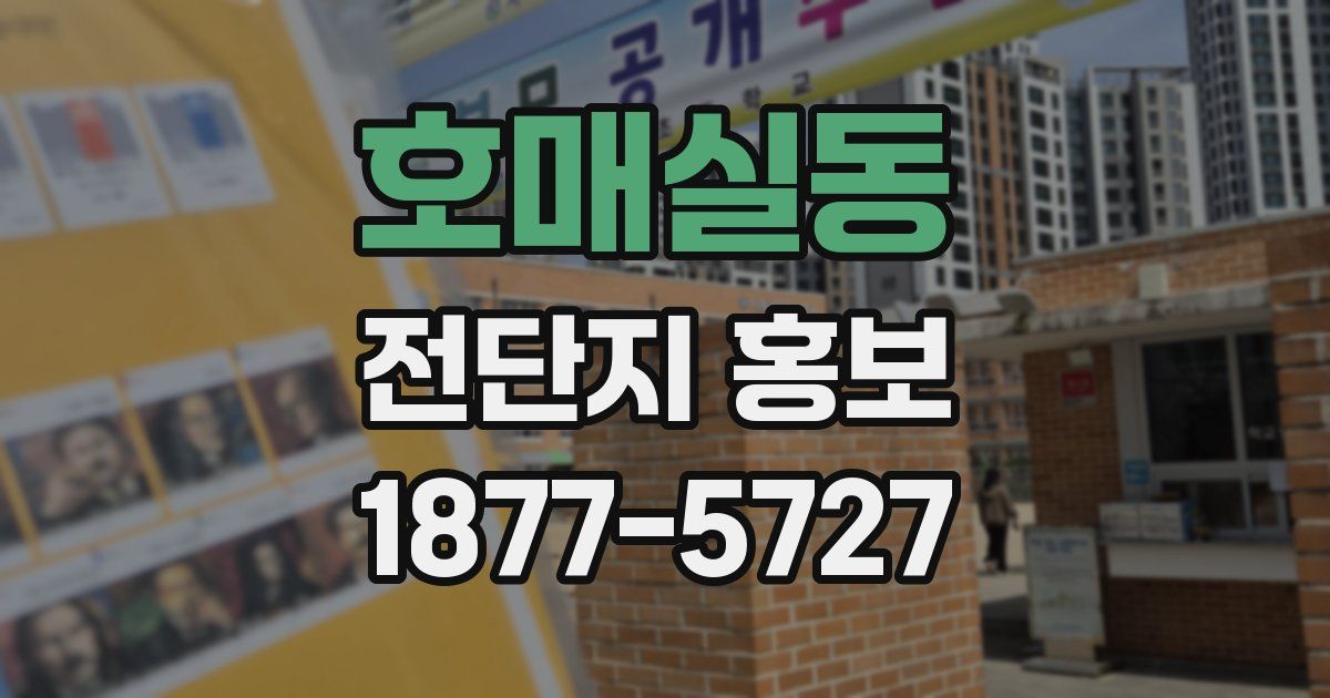 호매실동 전단지 홍보