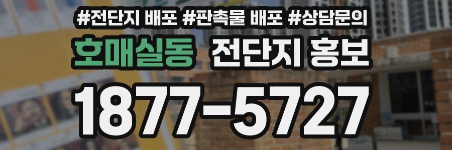 호매실동 전단지 홍보