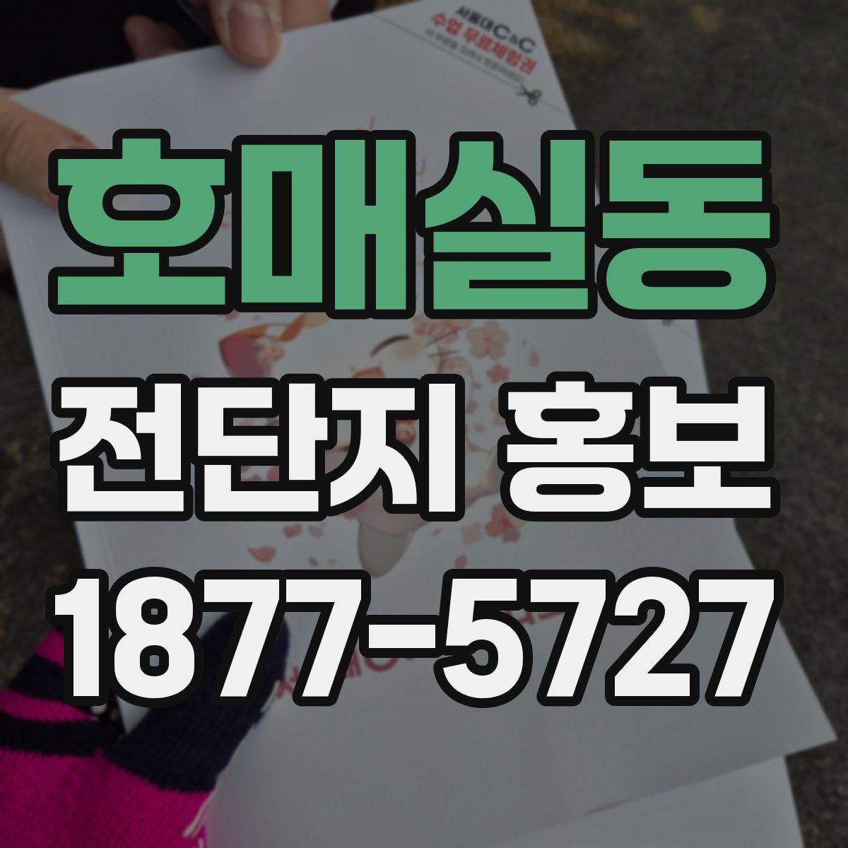 호매실동 전단지 홍보
