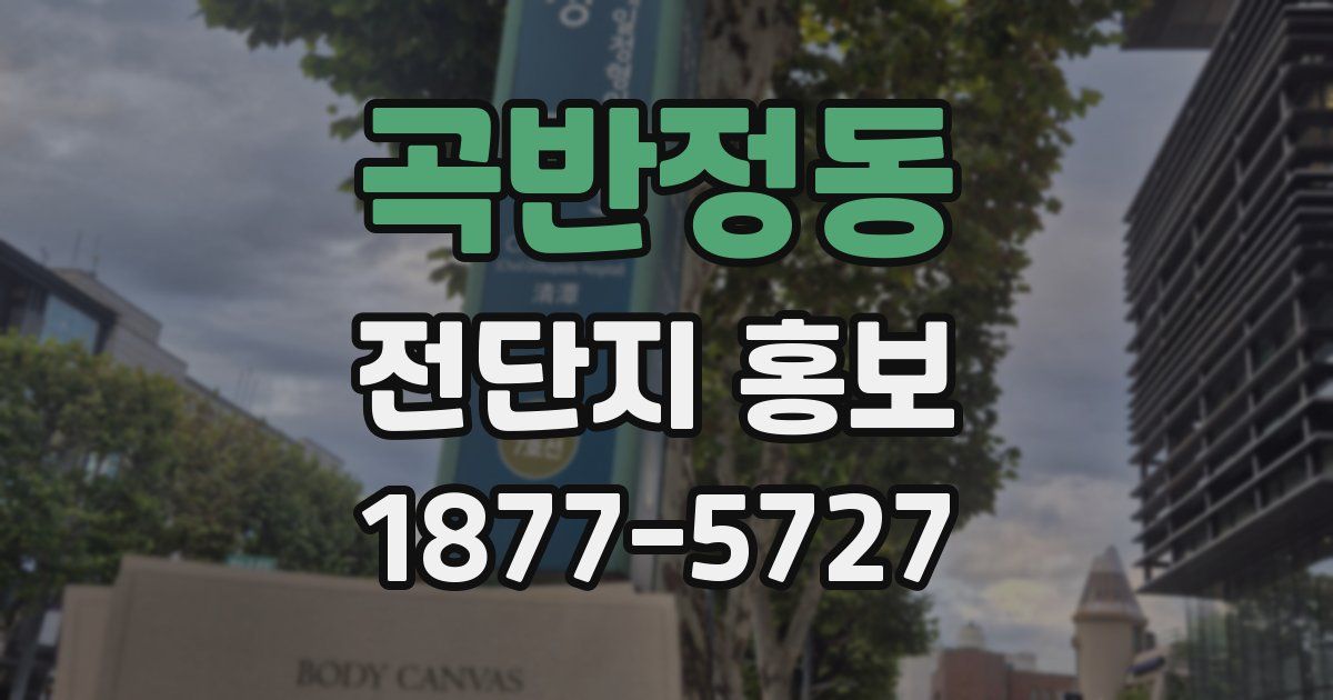 곡반정동 전단지 홍보