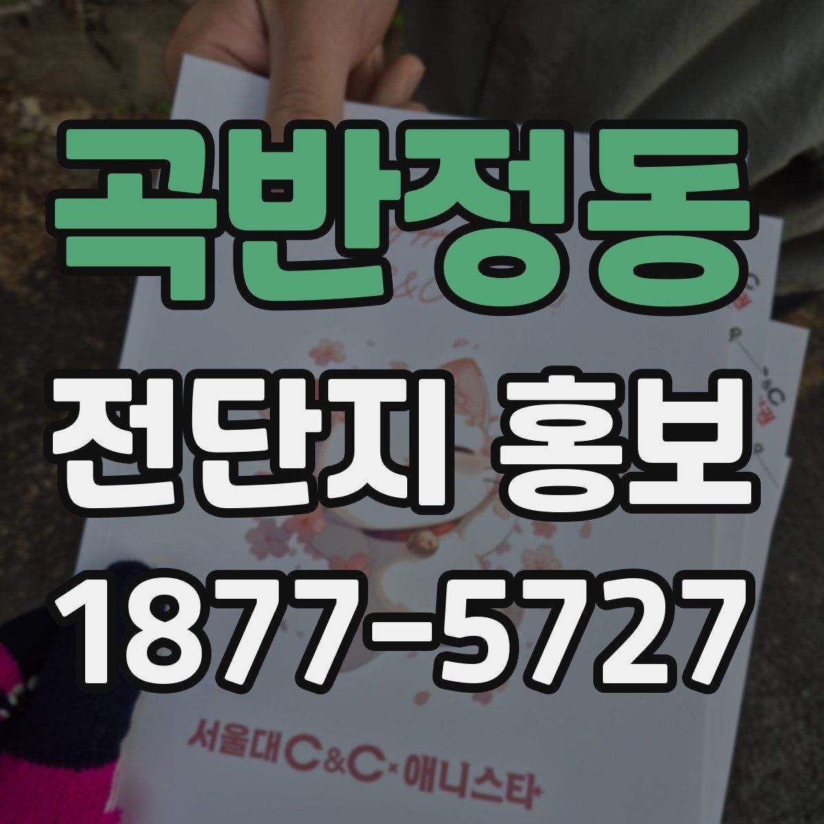 곡반정동 전단지 홍보