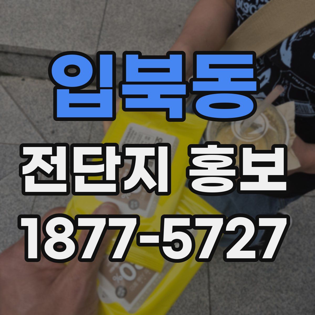 입북동 전단지 홍보