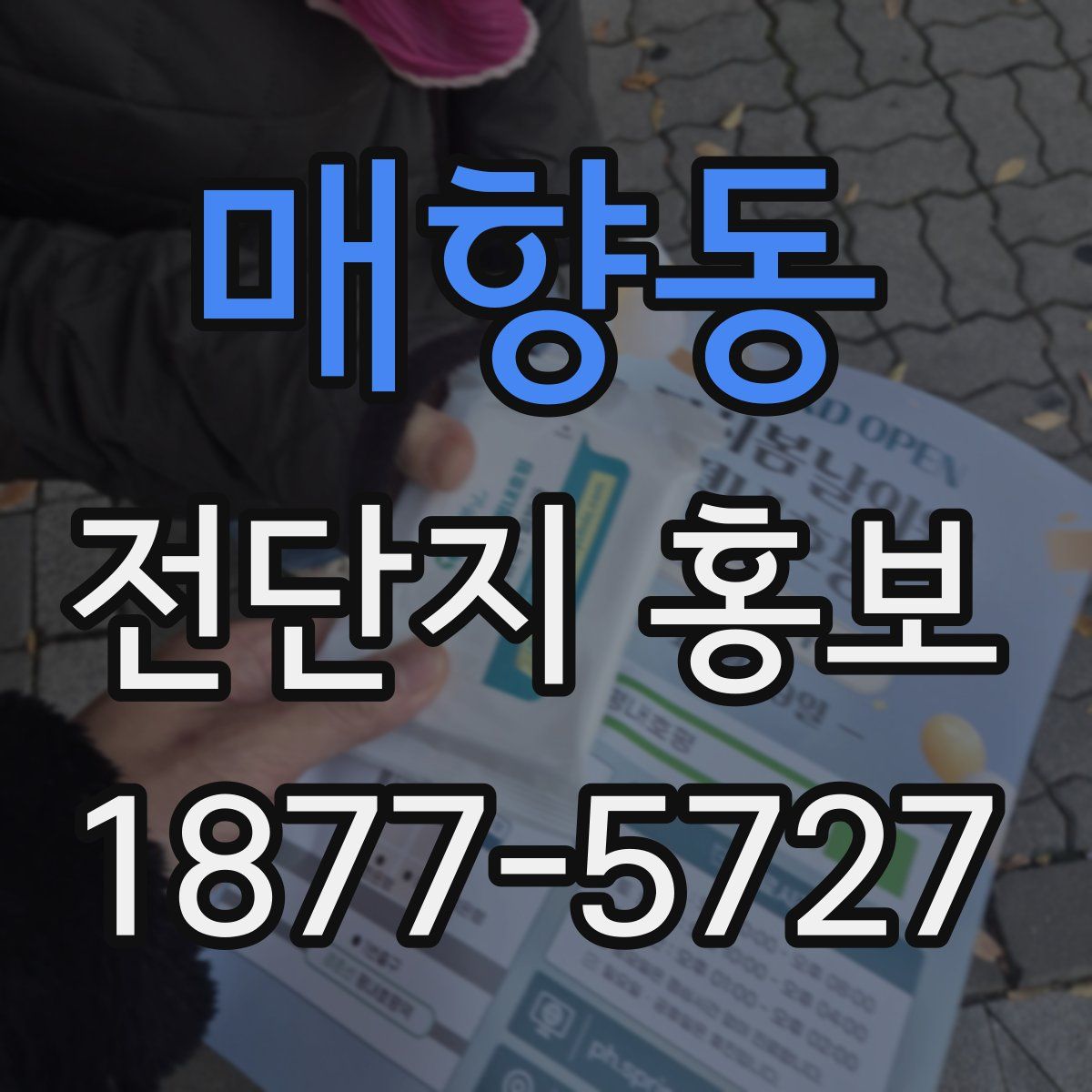 매향동 전단지 홍보