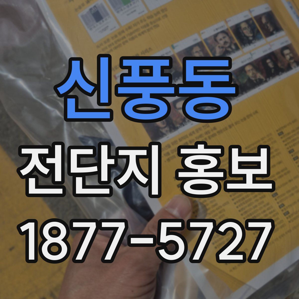 신풍동 전단지 홍보