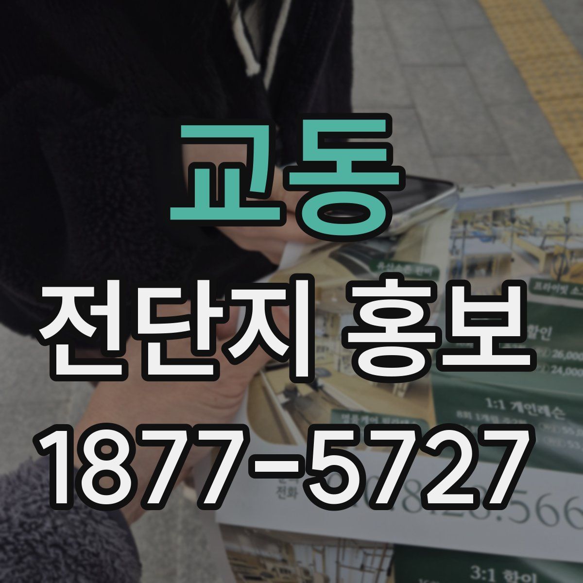 교동 전단지 홍보