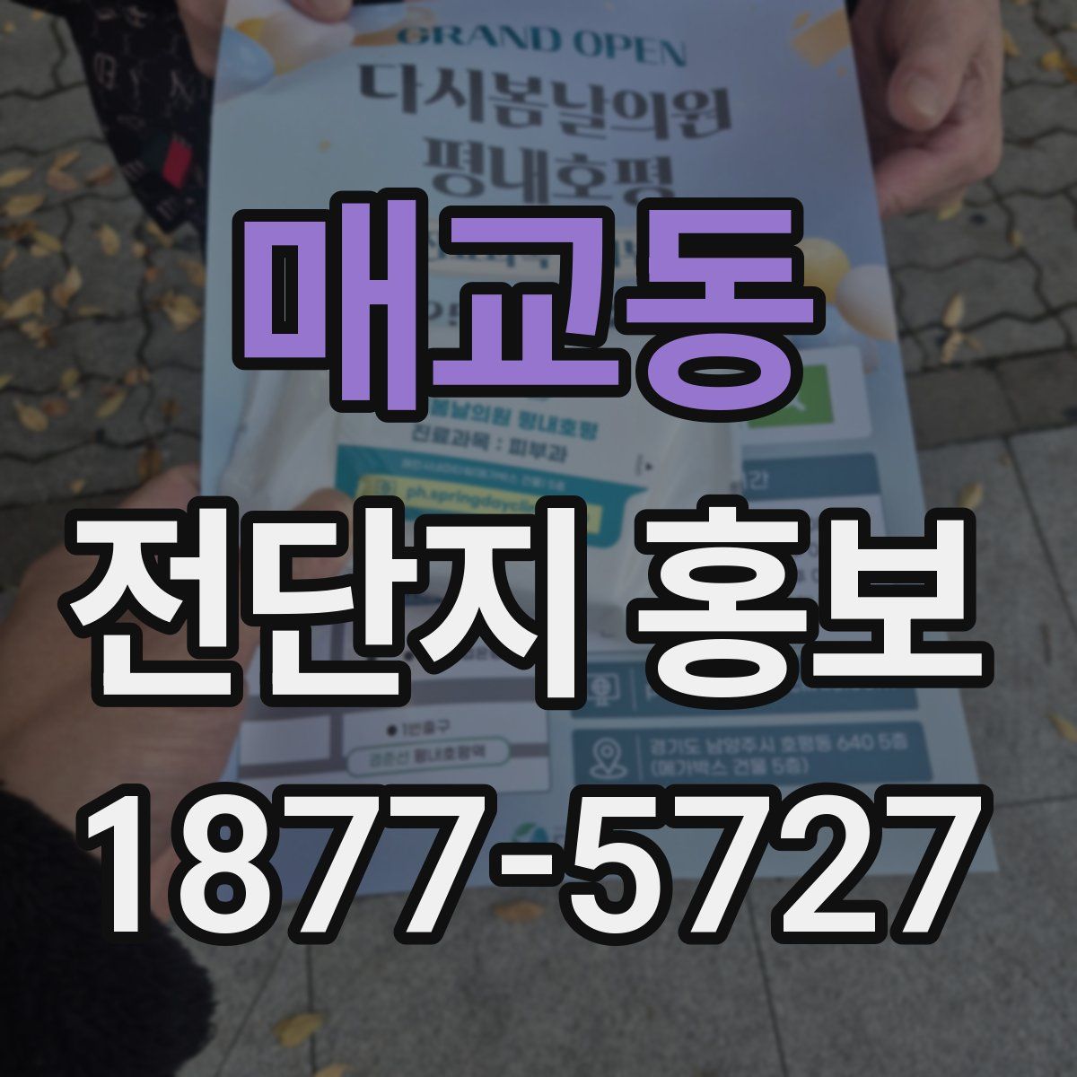 매교동 전단지 홍보
