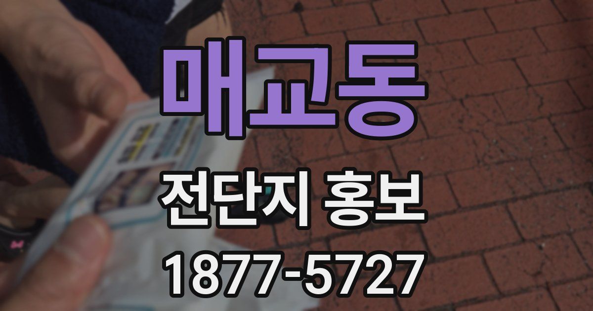 매교동 전단지 홍보
