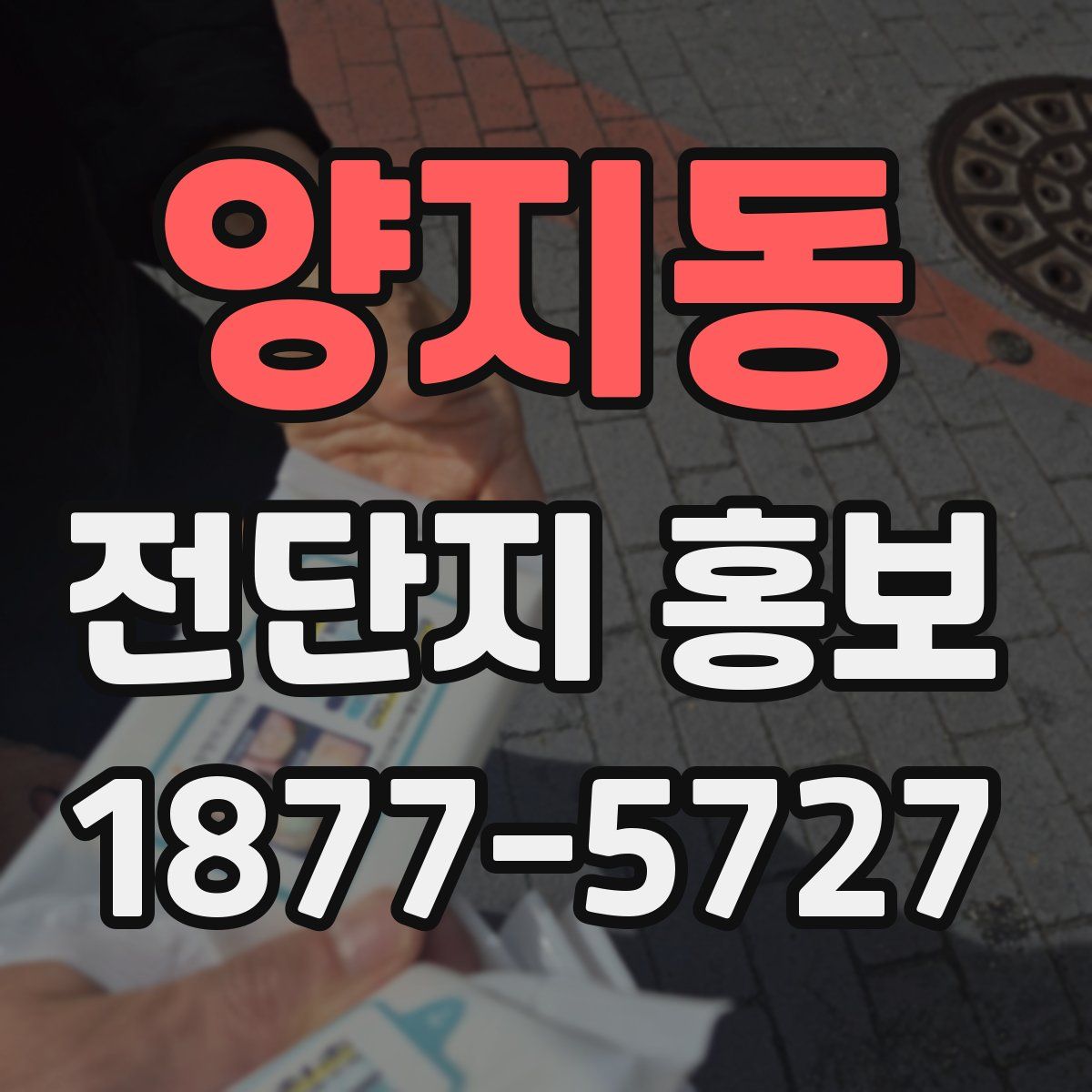 양지동 전단지 홍보
