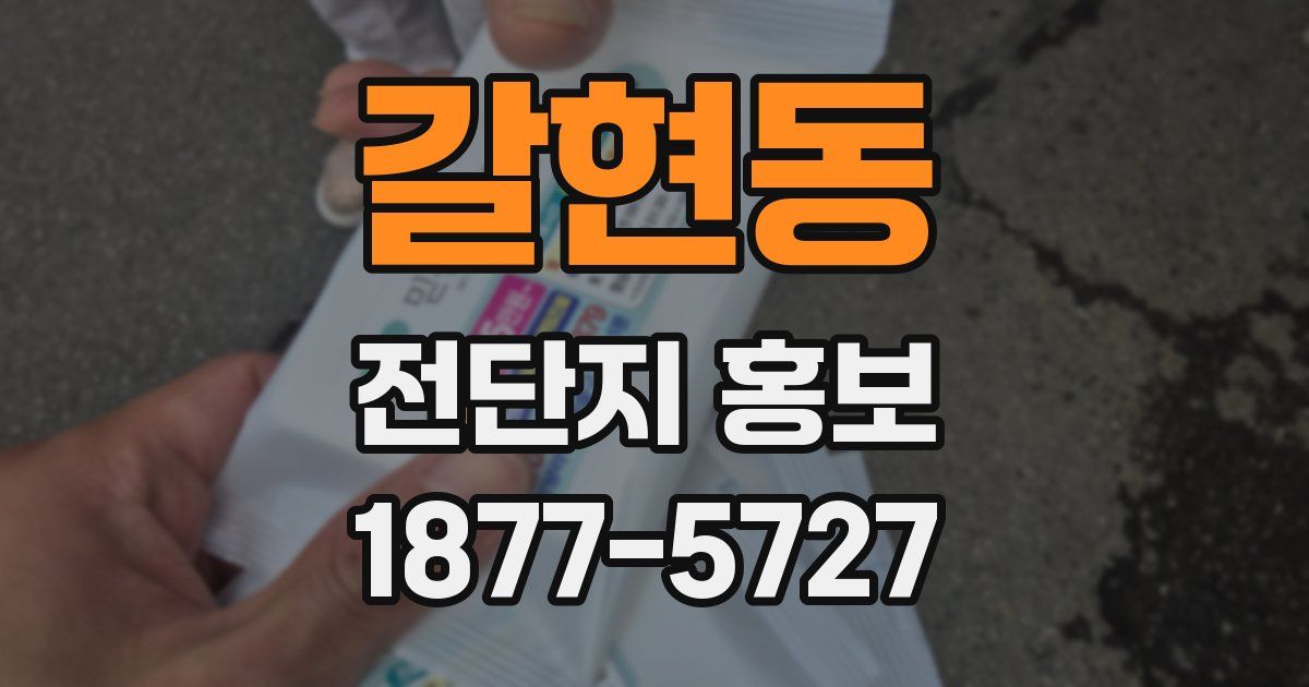 갈현동 전단지 홍보