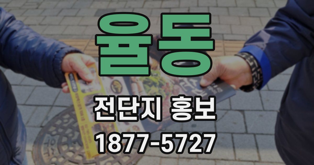 율동 전단지 홍보