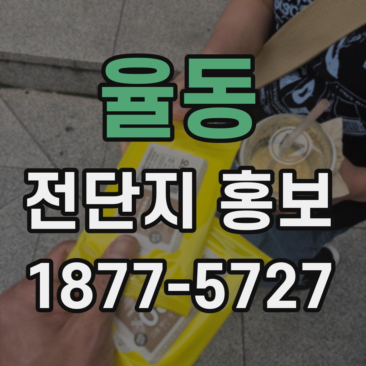 율동 전단지 홍보
